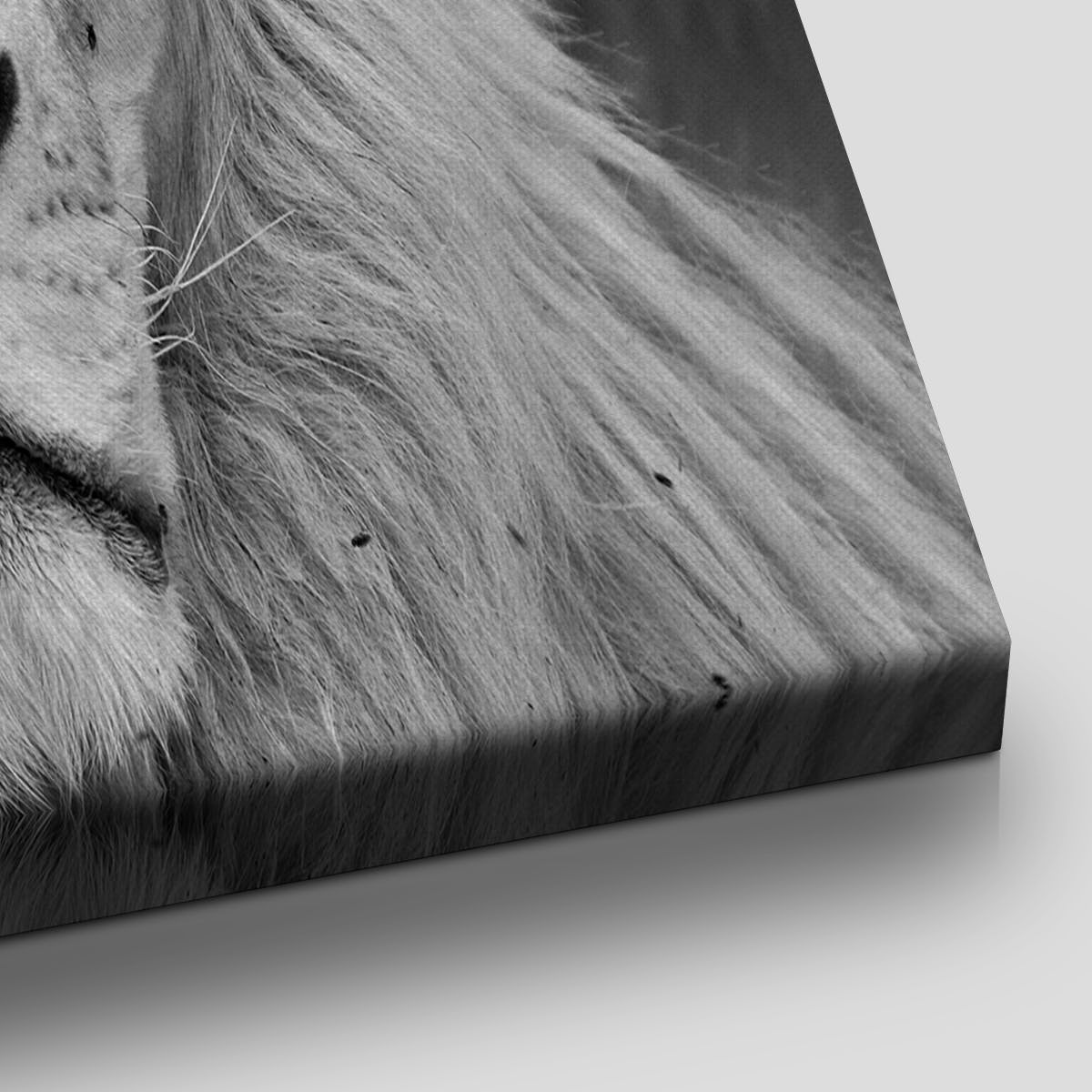 Black And White African Lion Wall Art Canvas-Stunning Canvas Prints