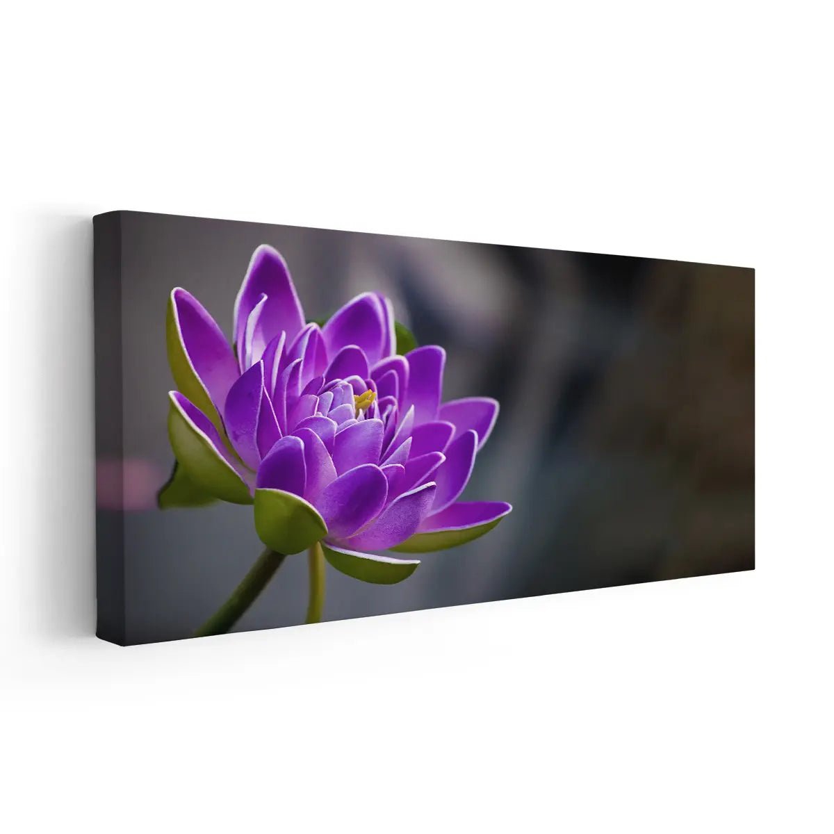 Purple Lotus Flower Wall Art Canvas Print-Stunning Canvas Prints