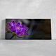Purple Lotus Flower Wall Art Canvas Print-Stunning Canvas Prints