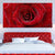 Red Rose Close Up Multi Panel Canvas Wall Art