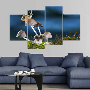 Roman Snail Wall Art Canvas-Stunning Canvas Prints