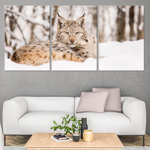 Snow Lynx Wall Art Canvas-Stunning Canvas Prints