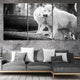 White Wolves Wall Art Canvas-Stunning Canvas Prints