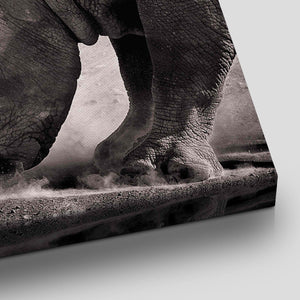 White Rhinoceros Wall Art Canvas-Stunning Canvas Prints