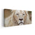 White Lion Portrait Canvas Art-Stunning Canvas Prints