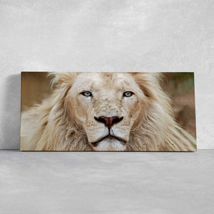 White Lion Portrait Wall Art Canvas-Stunning Canvas Prints
