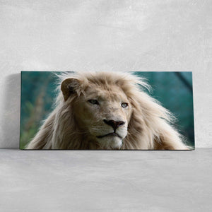 White African Lion Wall Art Canvas-Stunning Canvas Prints