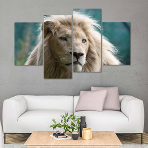 White African Lion Wall Art Canvas-Stunning Canvas Prints