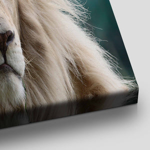 White African Lion Wall Art Canvas-Stunning Canvas Prints
